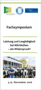 Programmflyer Fachsy Intern